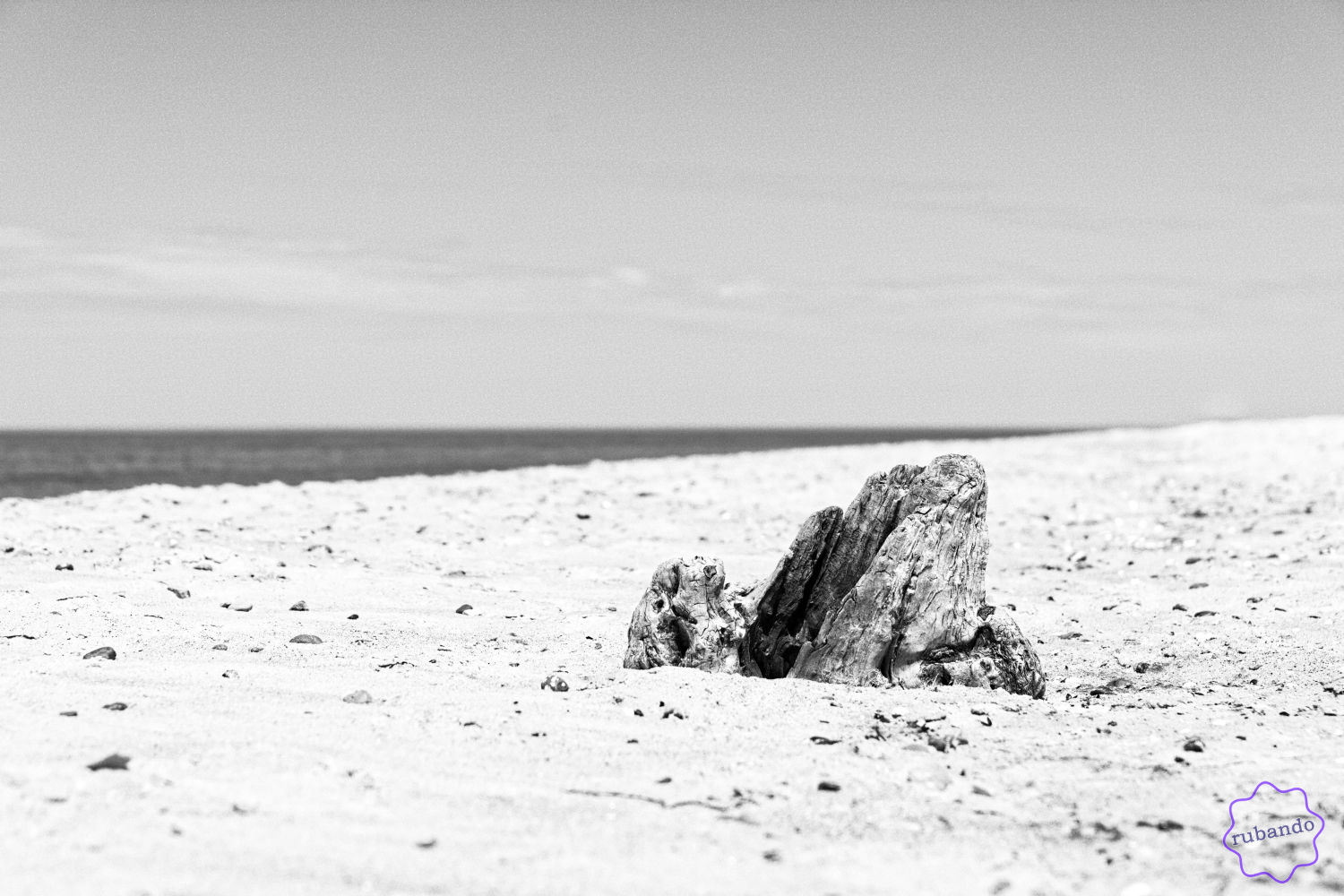 Baumstumpf_Ostseesand.jpg Baumstumpf am Naturstrand