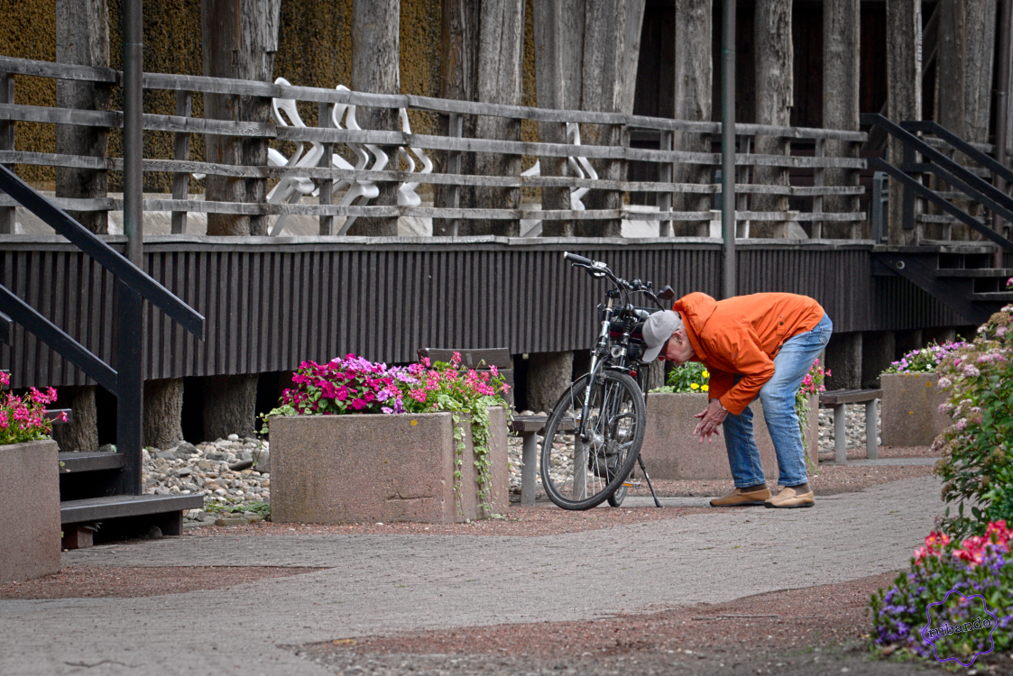 Fahrradinspektion.jpg Inspektion des E-Bikes