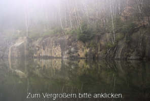Steinbruch_See.jpg Nebliger Märzmorgen am Steinbruch