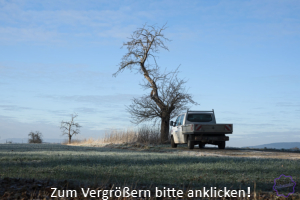 Transporter_Baum.jpg Wintermorgen