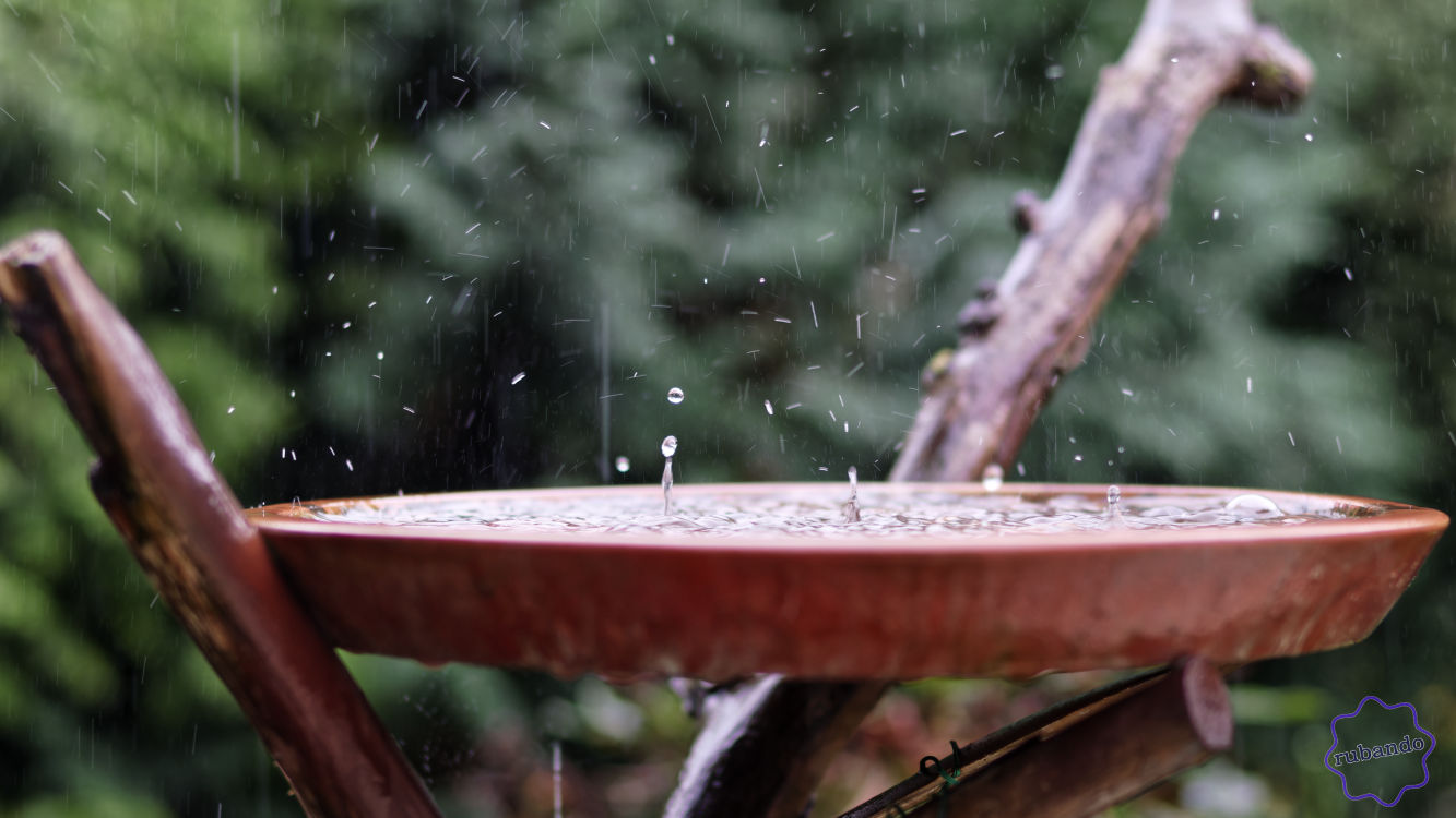 Tropfen.jpg Regenschauer und Vogeltränke