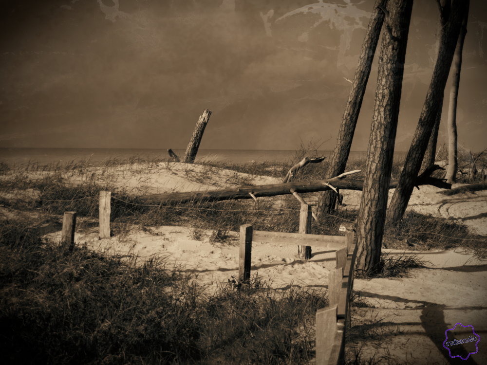 Unwetter_Strand.jpg Nahendes Unwetter am Strand