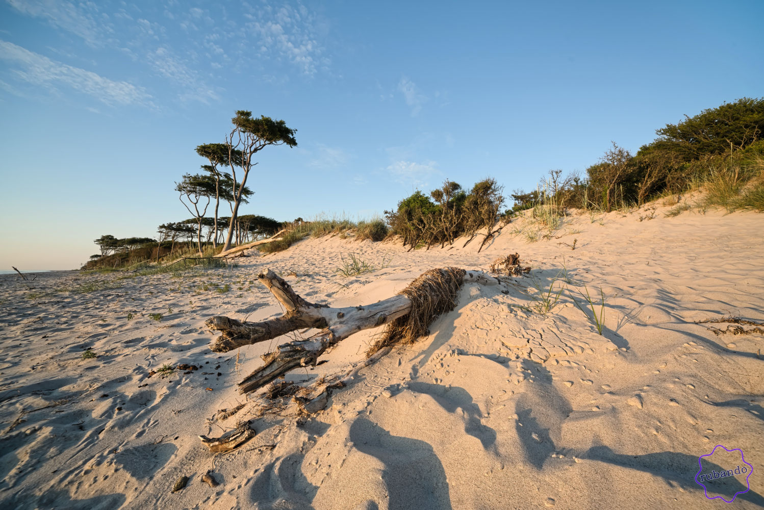 abendstrand.jpg Abend am Darßer Weststrand